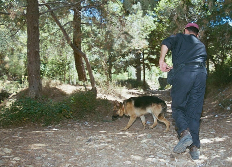 Επιχείρηση Έρευνας και Διάσωσης για Χαμένο Τουρίστα στα Χανιά