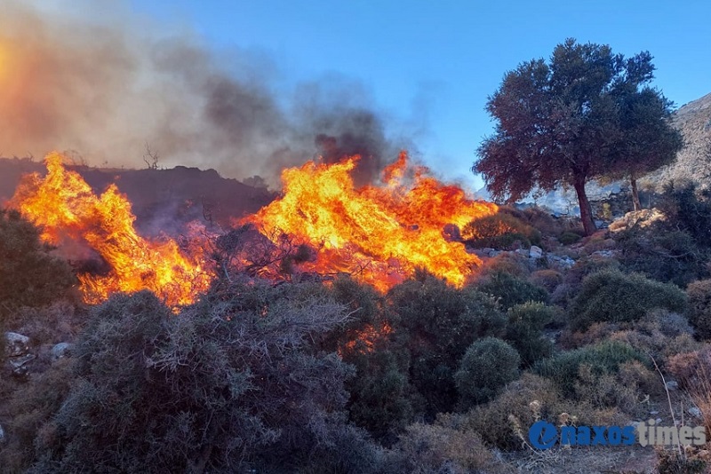 Φωτιά σε αγροτοδασική έκταση στη Μαρίτσα Ρόδου με μεγάλη κινητοποίηση πυροσβεστικών δυνάμεων