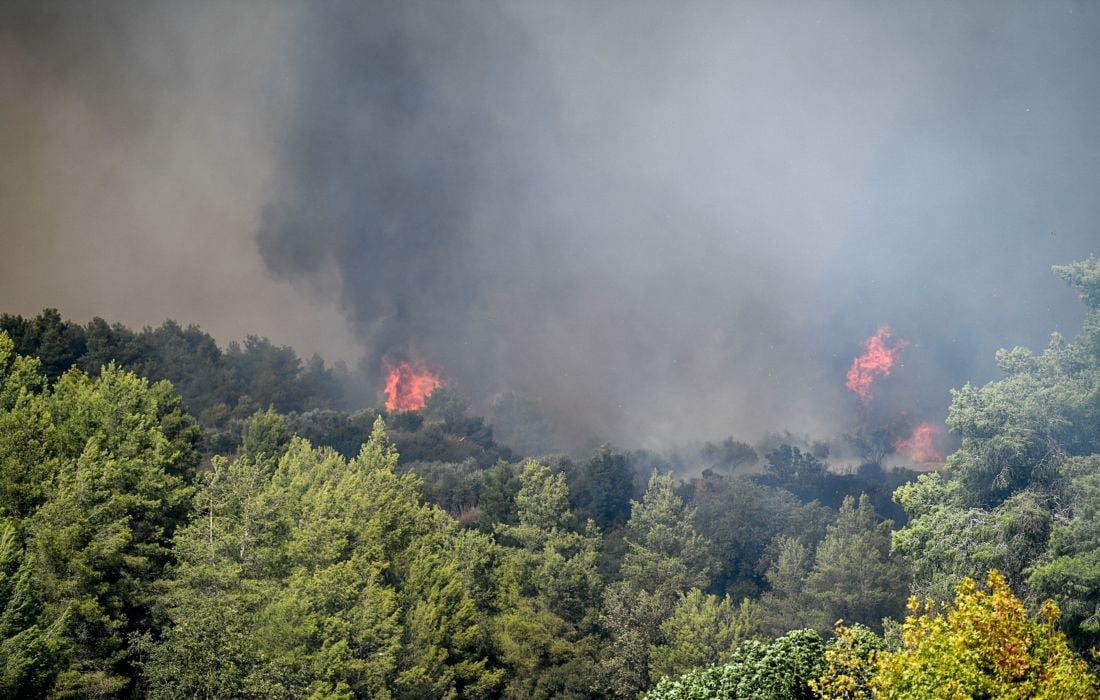 Φωτιές στην Ηλεία: Ενισχυμένες Δυνάμεις Πυρόσβεσης στην Κατάσβεση Εγκλημάτων Εμπρησμού