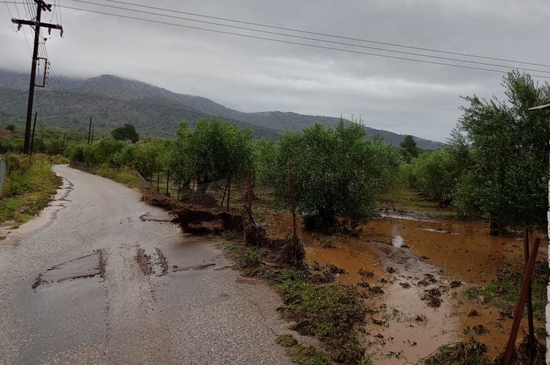 Καταστροφή από την κακοκαιρία στην Αιτωλοακαρνανία με ελαιώνες θαμμένους στη λάσπη